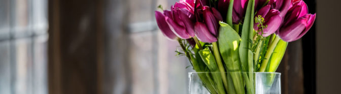 Flowers on the window sill